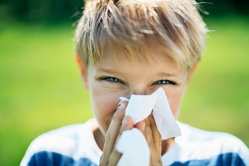 Portrait of a young child with seasonal allergies, blowing their nose in a field.